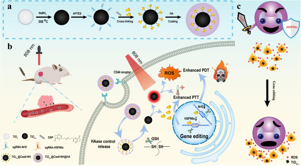 南京中医药大学科研动态——韩欣课题组在Acta Pharmaceutica Sinica B, Biosensors And ...