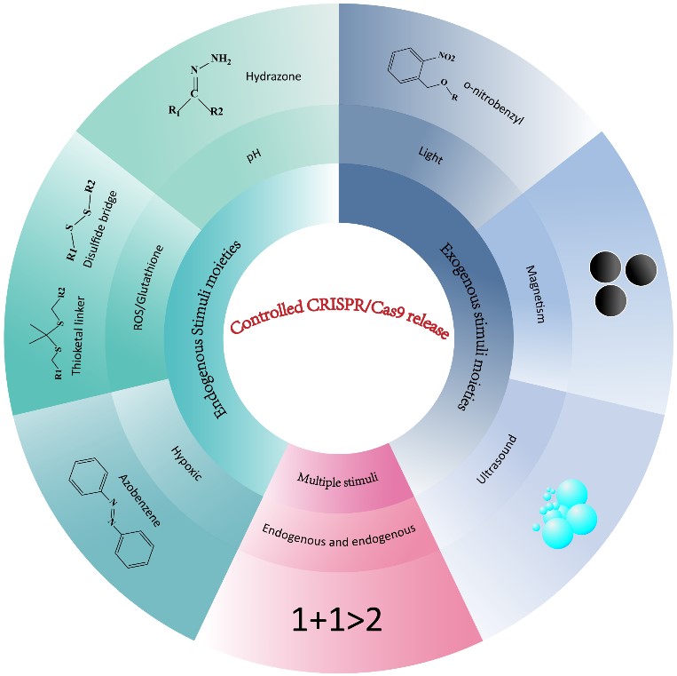 南京中医药大学科研动态——韩欣课题组在Small和Journal Of Materials Chemistry B期刊发表关于智能可控基因编辑 ...